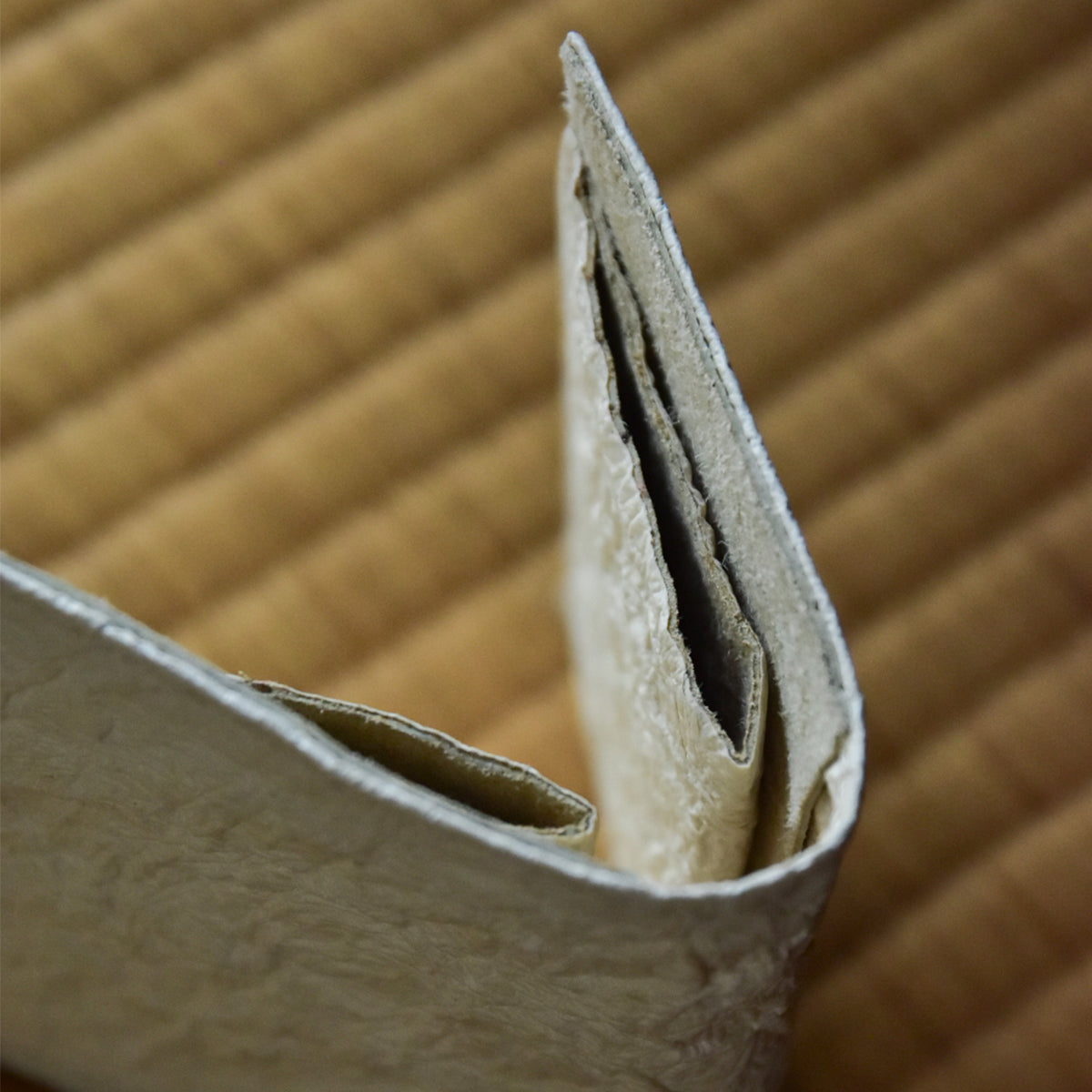 【WASHI】CARD CASE / カードケース